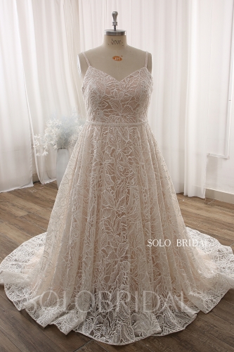 Blush A line Lace Plus size Court Train Wedding Dress DPP_0091