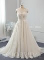 Light champagne A line lace tulle wedding dress 724A2646