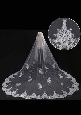 Cathedral Length Veil style 18