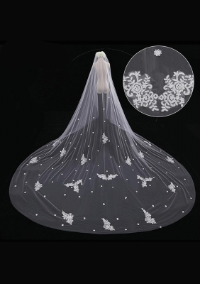 Cathedral Length Veil style 9