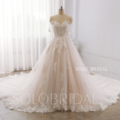 Blush Luxury Sparkly Lace Off Shoulder 2022 New Wedding Dress Royal Train DPP_0075