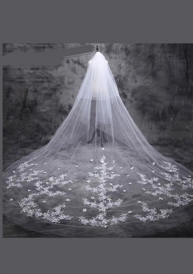 Cathedral Length Veil style 15