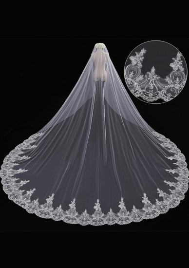 Cathedral Length Veil style 11