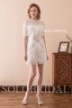 ivory short lace tassels party dress F236091