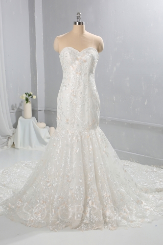 New design Ivory with Champagne Lace Wedding Dress Cathedral Train 724A9328
