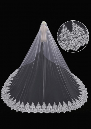 Cathedral Length Veil style 16