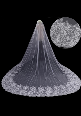 Cathedral Length Veil style 17