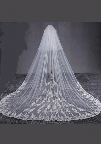 Cathedral Length Veil style 20