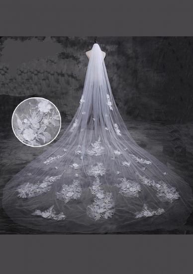 Cathedral Length Veil style 21