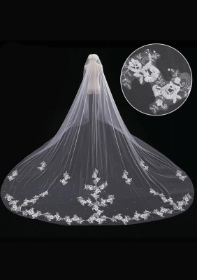 Cathedral Length Veil style 10