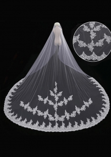 Cathedral Length Veil style 12