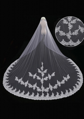 Cathedral Length Veil style 12